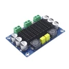 Kép 3/5 - XH-M542 Mono erősítő 100W DC 24 volt (Original IC)